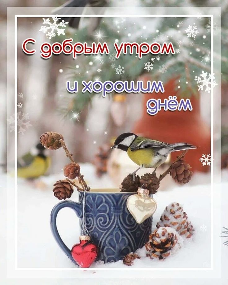 Открытка картинка с морозным добрым утром,зимнее доброе утро Открытка открытки картинка картинки с пожеланиями доброго морозного утра,утречка,с добрым морозным утром,открытка картинка доброе утро морозное,доброе зимнее утро