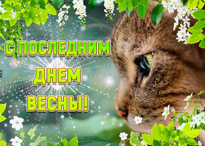 Открытки с последним днём весны , с последним весенним днём. Открытки картинки открытка картинка с последним днём весны,с последним весенним днём,открытка картинка последний день весны,прощай весна,последний весенний денёк
