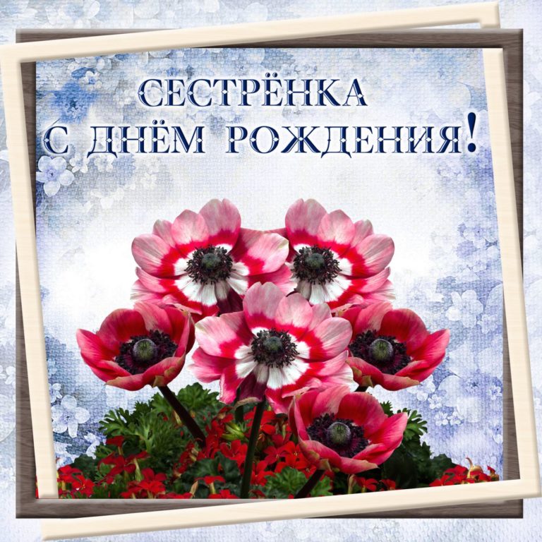 Открытки картинки с днём рождения сестра,дорогая сестричка . Открытки открытка с днём рождения сестре,поздравления сестре на день рождения,яркие картинки с днём рождения сестра,сестрёнка,открытки для сестры на день рождения скачать