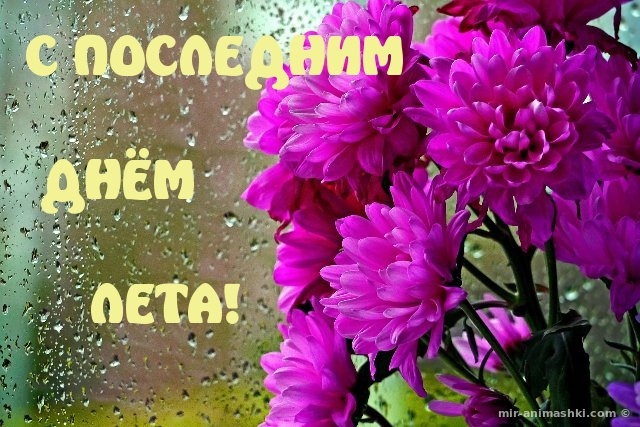 Открытка последний день лета,с последним днём уходящего лета Открытка картинка открытки картинки с последним днём лета,последний день лета,открытка картинка последний день лета,прощай лето,до свидания лето,конец лета открытки