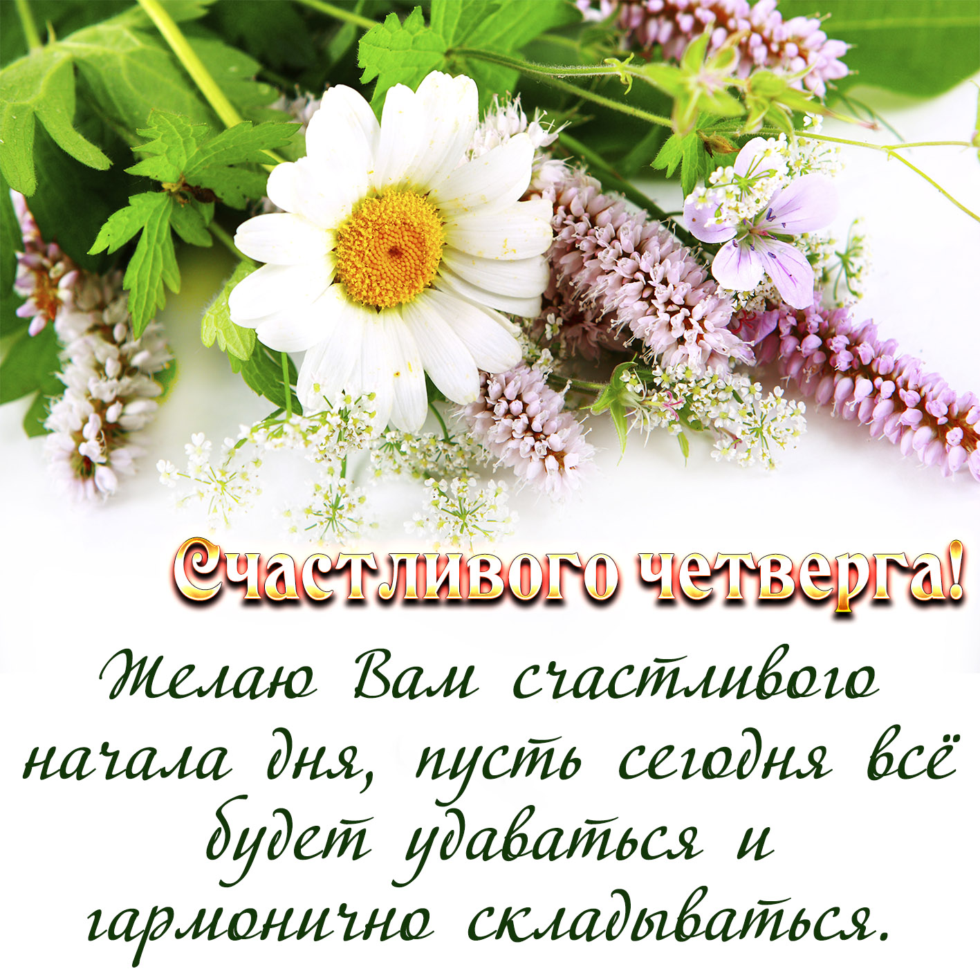 Открытка,картинка доброе утро четверга,яркие открытки четверг доброе утро Картинки,открытки с добрым утром четверга,хорошего четверга,пожелания доброго утра четверга,открытка открытки четверг доброе утро,картинки картинка доброе утро четверг