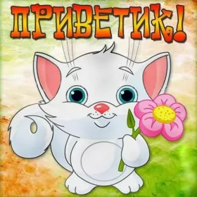 Привет,приветствие Открытка картинка привет,приветствие,передать привет,приветик