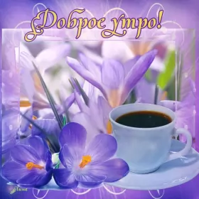 Доброе весеннее утро Открытка доброе весеннее утро,с добрым весенним утром,весеннее утро