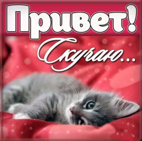 Открытки скучаю Открытки скучаю я скучаю по тебе,картинки с надписью скучаю .