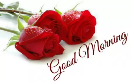 Открытки Good Morning Открытки картинки  доброго утра , доброе утро Good Morning .