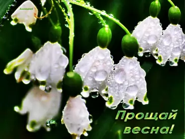 Открытки с последним днём весны Открытки с последним днём весны , с последним весенним днём.