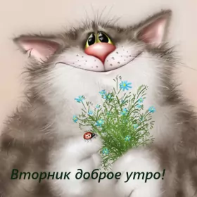 Доброе утро дни недели Открытка красивая доброе утро по дням недели, доброе утро вторника