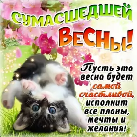 Открытки первый день весны Открытки первый день весны ,с первым весенним днём ,1 марта,котик
