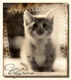 Открытки скучаю Открытка гиф ,мерцающая скучаю,скучаю по тебе,скучаю сильно,котёнок