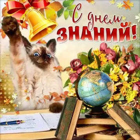 Открытки на 1 сентября день знаний Открытка картинка на 1 сентября начало учебного года,день знаний,кот