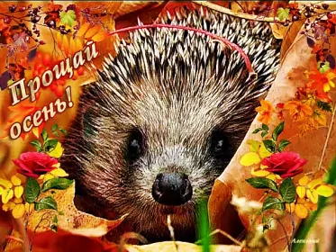 Открытки с последним днём осени Открытка с последним днём осени,последий осенний день ,конец осени