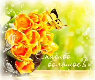 Открытки спасибо Открытка гиф,мерцающая спасибо,открытка гиф с надписью спасибо,жёлтые тюльпаны