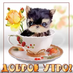 Доброе утро-разное Открытка с добрым утрои,пожелания доброго утра,красивая открытка доброе утро