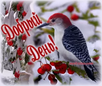 Открытки добрый день Открытка гиф добрый день,мерцающая картинка пожелания доброго дня 