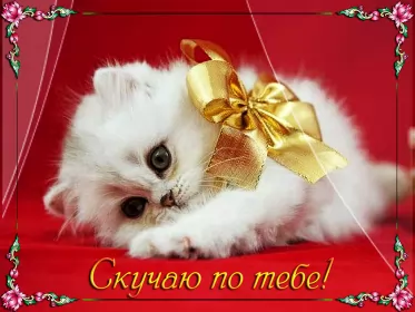 Открытки скучаю Открытка с надписью скучаю,красивая открытка скучаю,очень скучаю