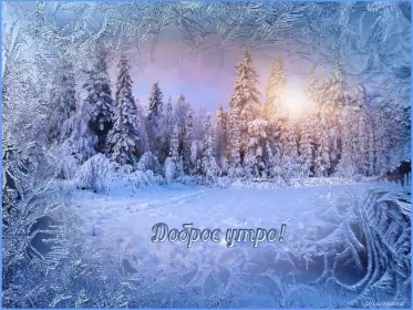 Доброе зимнее утро Открытка доброе зимнее утро,с добрым утром зимы,доброго утра зимы