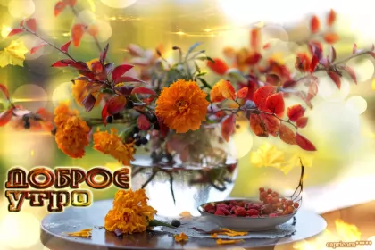 Доброе  осеннее утро Открытка гиф доброго осеннего утра,с добрым утром осени,осенним