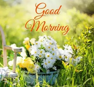 Открытки Good Morning Картинка открытка на английском языке доброе утро Good Morning 