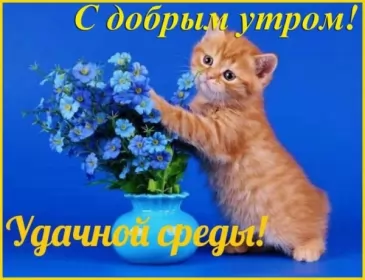 Доброе утро дни недели Открытка с пожеланиями доброго утра среды,с  добрым утром среда.