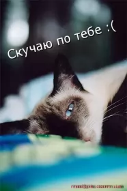 Открытки скучаю Открытки скучаю я скучаю по тебе,картинки с надписью скучаю .