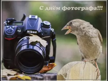 Открытки на день фотографа Открытка картинка день фотографа,праздником день фотографа. 