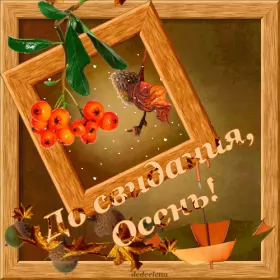 Открытки с последним днём осени Открытка с последним днём осени,последий осенний день ,конец осени