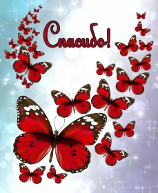Открытки спасибо Открытки спасибо,благодарю,красивая открытка с надписью спасибо,бабочки