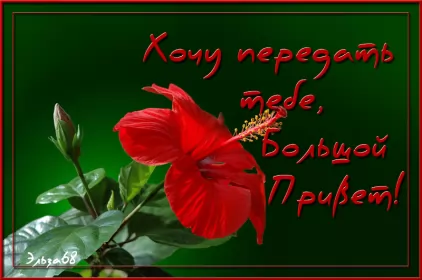 Привет,приветствие Открытка картинка гиф ,мерцающая привет,приветсвие,передать привет