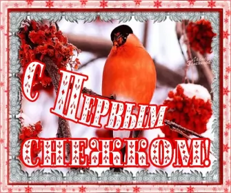 Открытки с первым снегом Открытки с первым снегом,первый снег,выпал первый снег,снежок