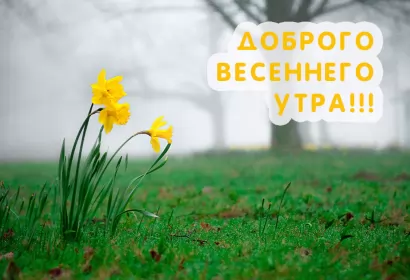 Доброе весеннее утро Открытка доброе весеннее утро,с добрым весенним утром,весеннее утро