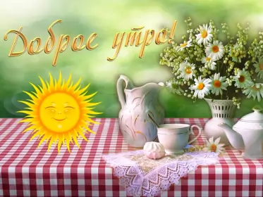 Доброе летнее утро Открытка с добрым летним утром,доброго летнего утра,летнее утро,солнце
