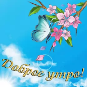 Доброе утро-разное Открытка с добрым утрои,пожелания доброго утра,красивая открытка доброе утро