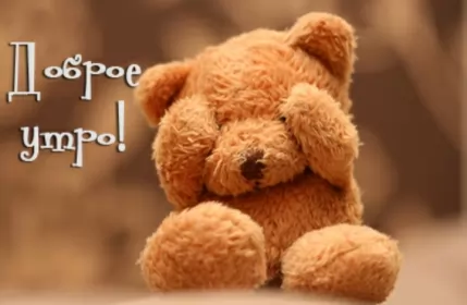 Доброе утро-разное Открытка доброе утро,с добрым утром,пожелание доброго утра,мишка