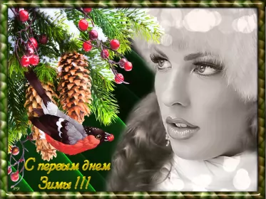 Открытки первый день зимы Открытка гиф,мерцающая первый день зимы,1 декабря,с началом зимы