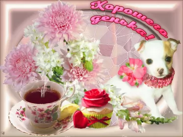 Хорошего дня Открытка картинка хорошего дня красивая открытка с пожеланиями хорошего дня