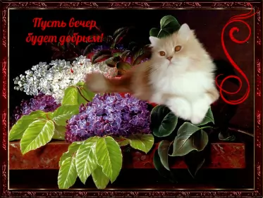 Открытки Добрый вечер Открытка гиф ,мерцающая добрый вечер,анимированная открытка доброго вечера