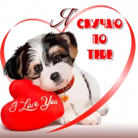 Открытки скучаю Открытка с надписью скучаю,красивая открытка скучаю,очень скучаю,щенок,сердце