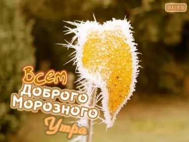 Открытки с добрым морозным утром Открытка с добрым утром,с добрым морозным зимним утром,морозное утро