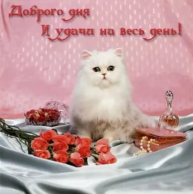 Открытки добрый день Открытка добрый день,картинка пожелания доброго дня,день добрый