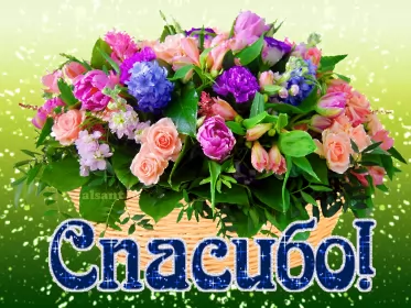 Открытки спасибо Открытка гиф,мерцающая спасибо,открытка гиф с надписью спасибо