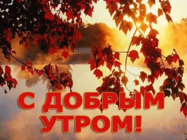 Доброе  осеннее утро Открытка гиф доброго осеннего утра,с добрым утром осени,осенним