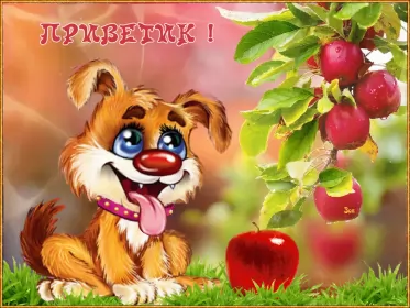 Привет,приветствие Открытка картинка привет,приветствие,передать привет,приветик