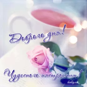 Открытки добрый день Открытка гиф добрый день,мерцающая картинка пожелания доброго дня 
