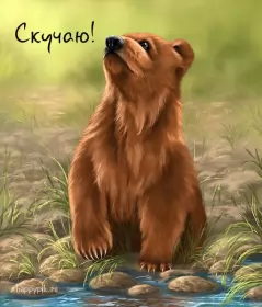 Открытки скучаю Открытка с надписью скучаю,красивая открытка скучаю,очень скучаю