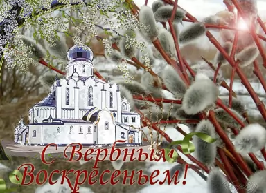 Открытки вербное воскресенье Открытки гиф, мерцающие с  вербным , на вербное воскресенье 