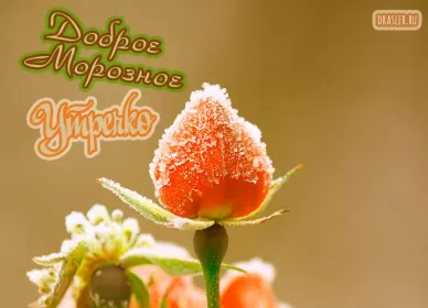 Открытки с добрым морозным утром Открытка с добрым утром,с добрым морозным зимним утром,морозное утро