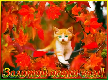 Открытки первый день осени Открытка с первым днём осени,с началом осени,с наступлением осени