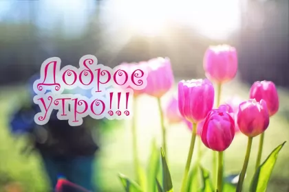Доброе весеннее утро Открытка доброе весеннее утро,с добрым весенним утром,весеннее утро