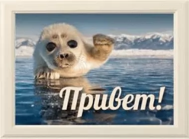  Открытки,картинки привет,приветствие