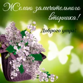 Доброе утро дни недели Открытка красивая доброе утро по дням недели, доброе утро вторника